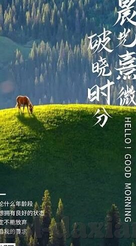 成成人三级视频免费视频-成人教育新视角，三级视频在自学中的辅助作用