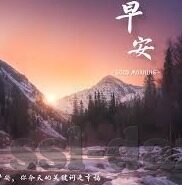 成人动漫视频免费-成人动漫视频的多元视角，免费资源的探索与思考