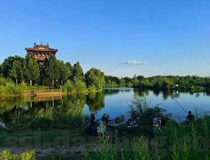 麻豆啊传媒app下载免费-麻豆啊传媒的魅力，免费下载的精彩瞬间