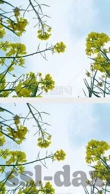 麻豆av专区-平台的法律边界与影响，麻豆av专区剖析