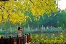 糖心官网入口-揭秘糖心官网入口的真相与注意