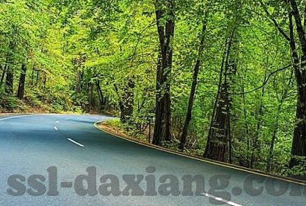糖心vlog下载官网入口-糖心Vlog下载法宝，揭秘官网入口与安全应用指南